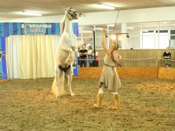 IMG_5200_web